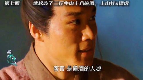 国产老虎38集解说视频,揭秘神秘生物的传奇故事