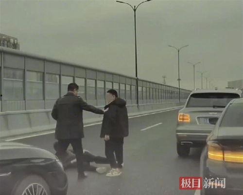 国产车主劝架视频大全,视频大全见证人间正义瞬间