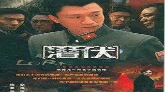 国产一极品视频,视觉盛宴，带你领略中国影视魅力