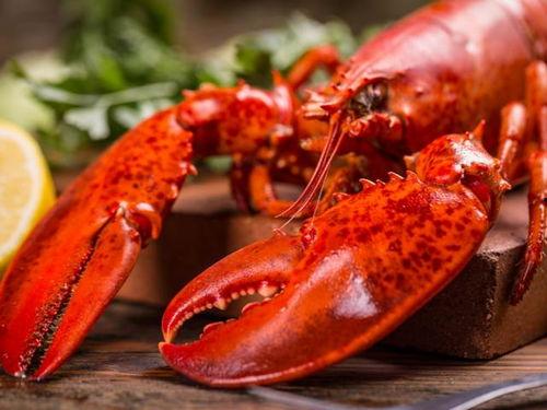 国产龙虾视频,探寻美味背后的养殖传奇