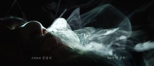 丧尸国产大尺度视频大全,揭秘国产大尺度丧尸视频背后的惊悚世界