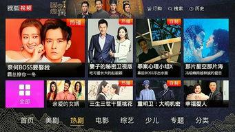 视频日本欧美国产,日本、欧美文化碰撞与融合