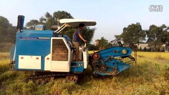 国产收割机收豆视频,农业现代化新篇章